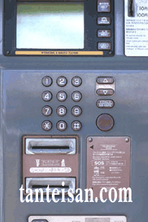 �T�コ��h�b�g�R���@���E���Ɂ^���C�����E�f�s����