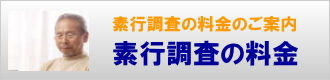 素行調査の料金